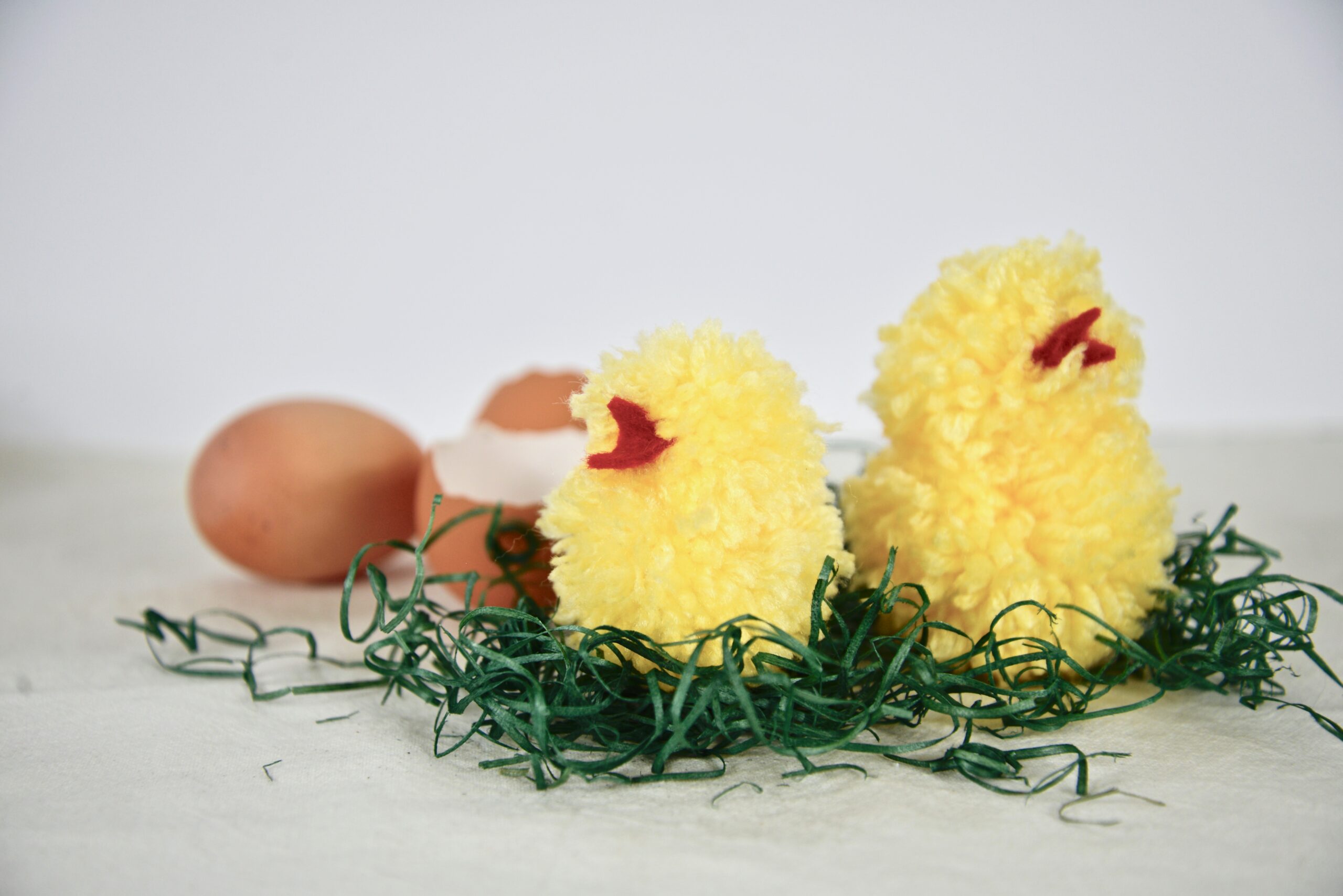 Pom Pom Chicks with eggs