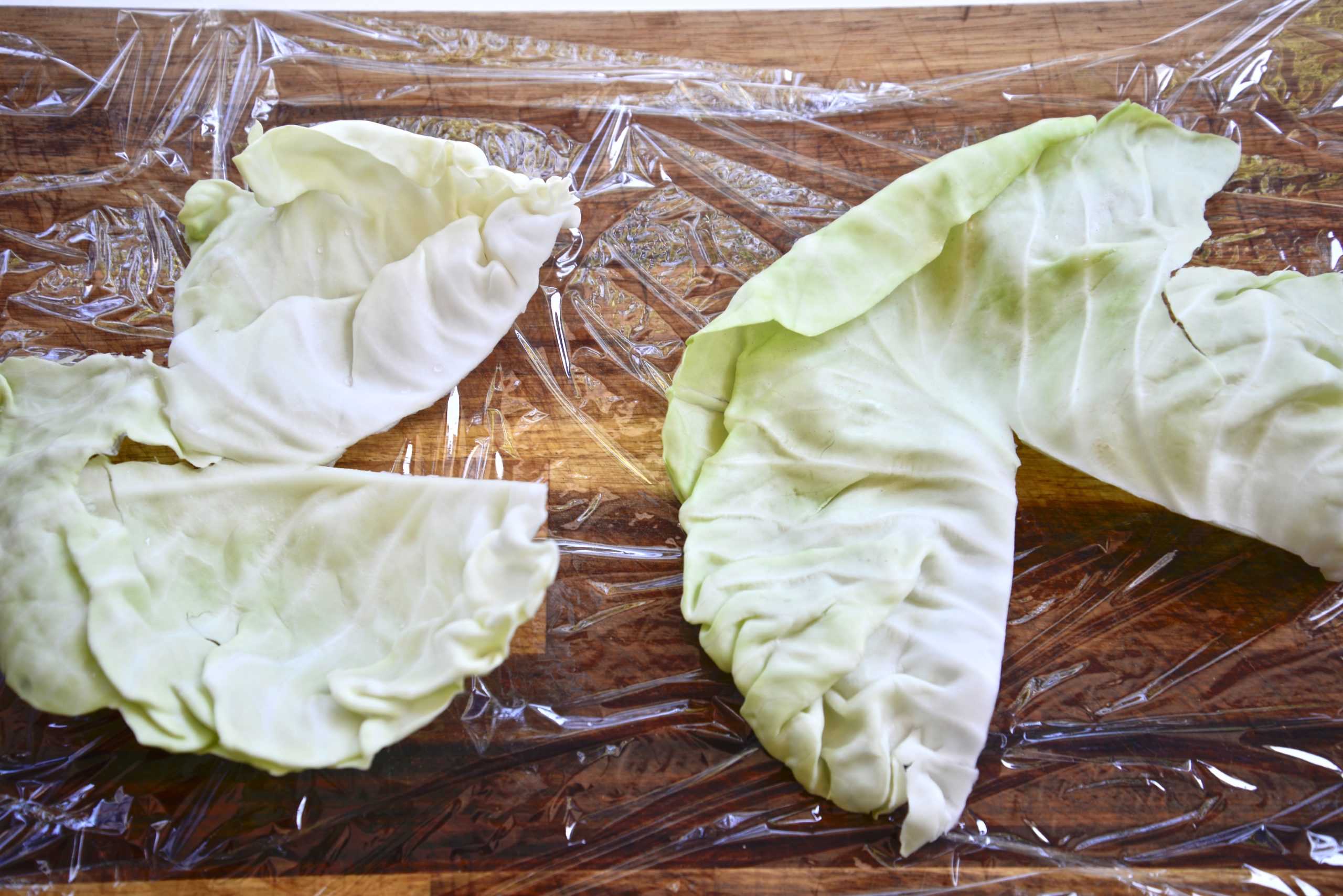 lay plastic under cabbage leaves
