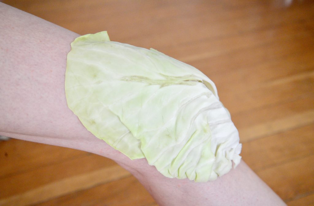 cabbage leaf for joint pain, swelling
