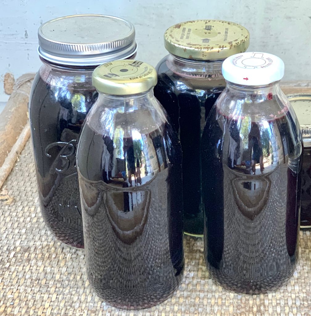 elderberry juice in bottles