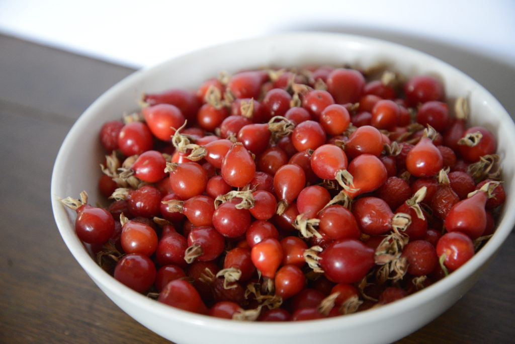 rosehips in a bowl
