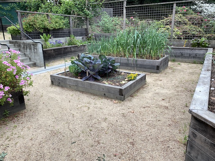 raised vegetable garden stone