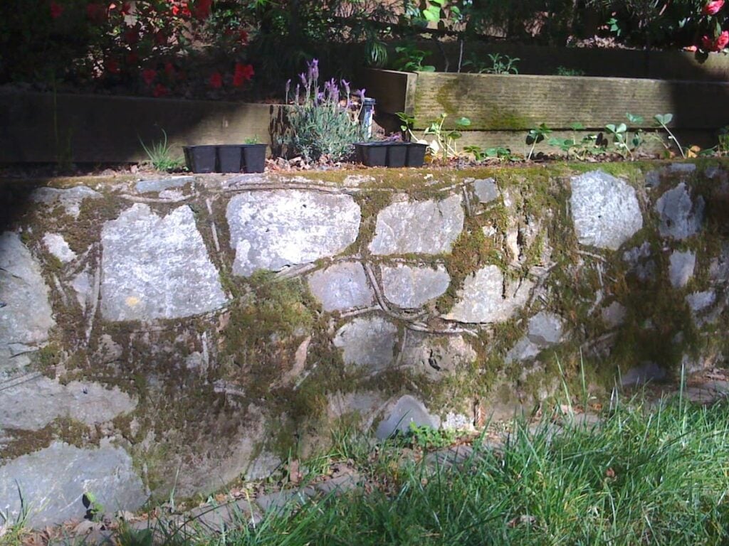 A stone retaining wall with patches of moss sits in a garden, supporting raised garden beds crafted from wood above, filled with flowers and small plants. Grass grows at the base of the wall in the foreground.