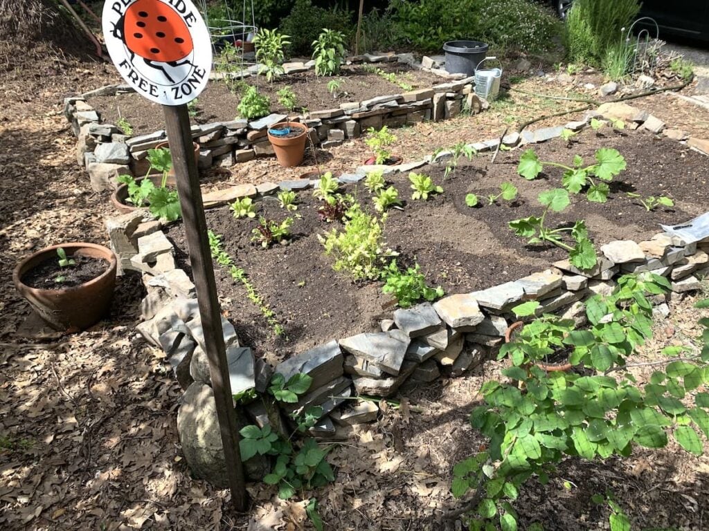 Raised garden beds bordered with stone contain young vegetable plants and leafy greens. A sign reading Pesticide Free Zone with a ladybug illustration stands out front, while more potted plants are scattered nearby.