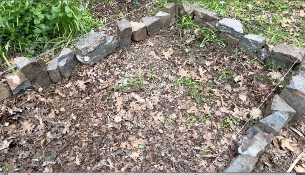 A small raised garden bed bordered with irregular rocks, filled with dry leaves, sparse green plants, and soil. Strings outline the bed, and some green plants grow along the rock border.