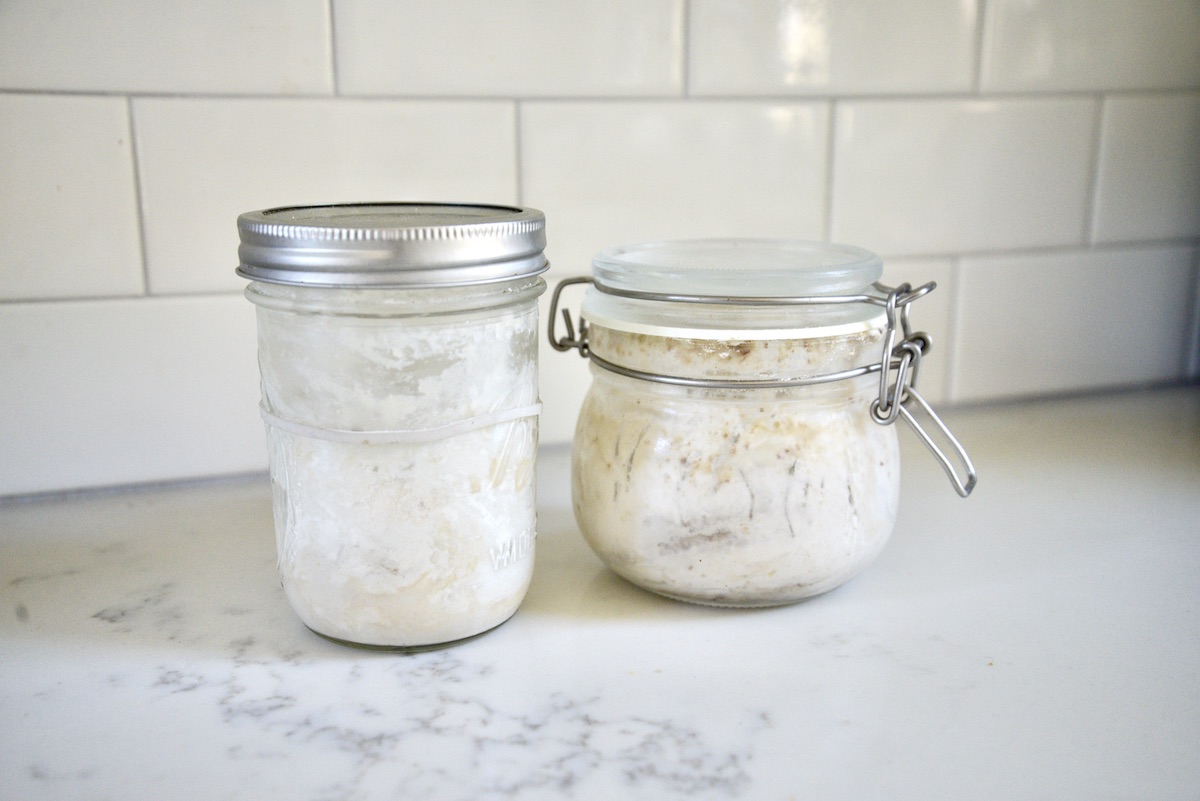 No-Discard Sourdough Starter Maintenance ~Sweet & Savory