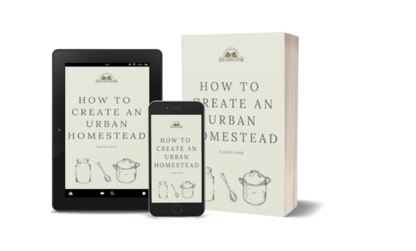 Urban Homestead eBook