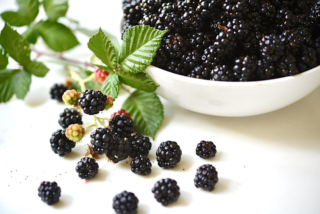 Tips For Picking More Blackberries Faster Our Gabled Home   Blackberries 1024x684 