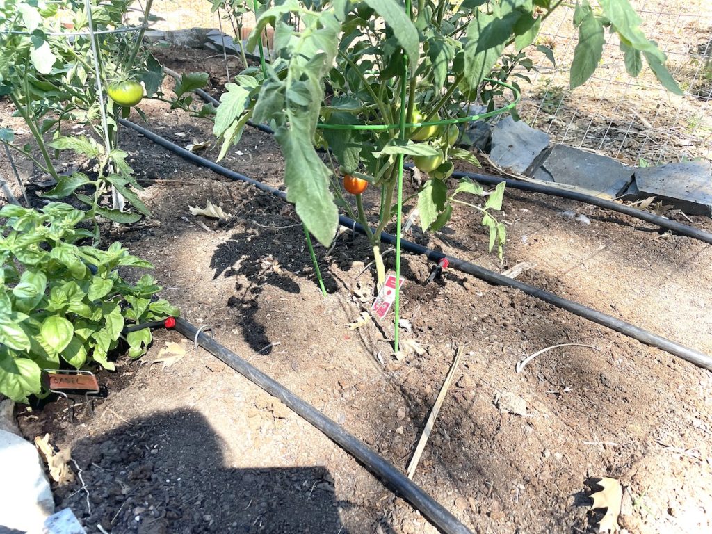 Super simple drip irrigation for raised garden beds