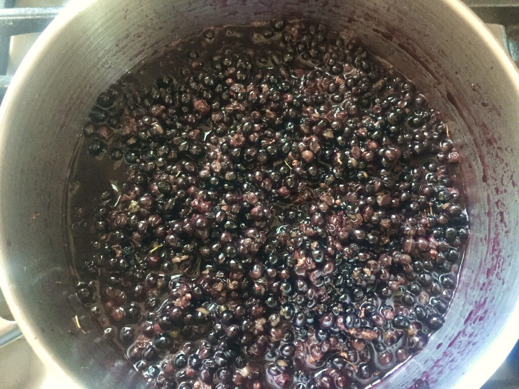 boiling elderberries for jam
