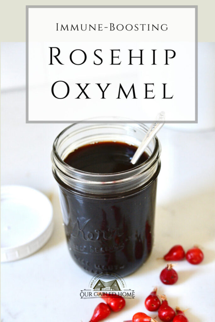 How to make a Rosehip Oxymel