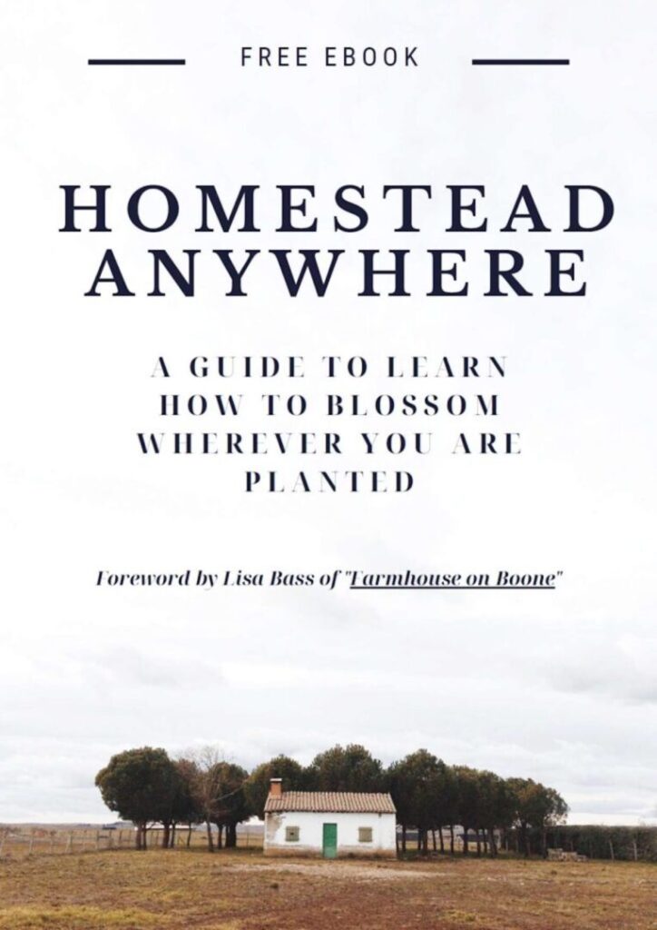 Homestead Anywhere free e-book