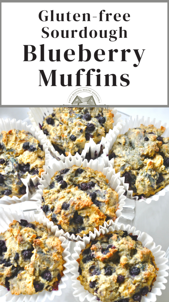 How to make Gluten-free Sourdough Blueberry Muffins