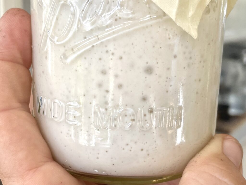 active sourdough starter from scratch