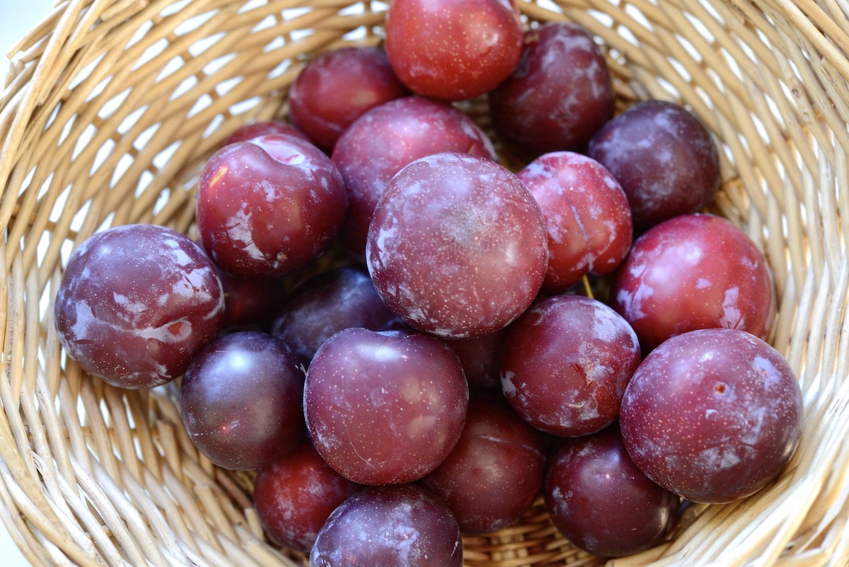 Classic German Plum Cake Our Gabled Home