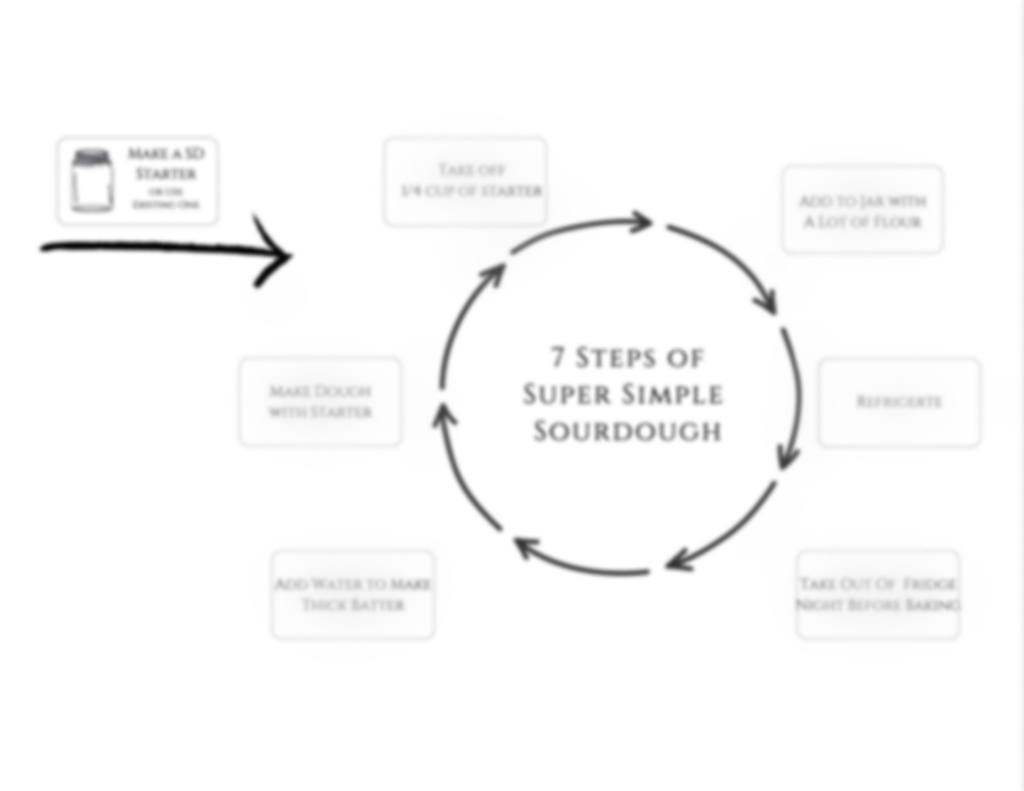 sourdough life cycle