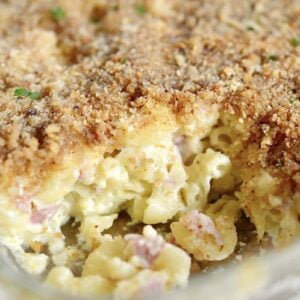 Schinkennudeln with golden parmesan breadcrumb crust