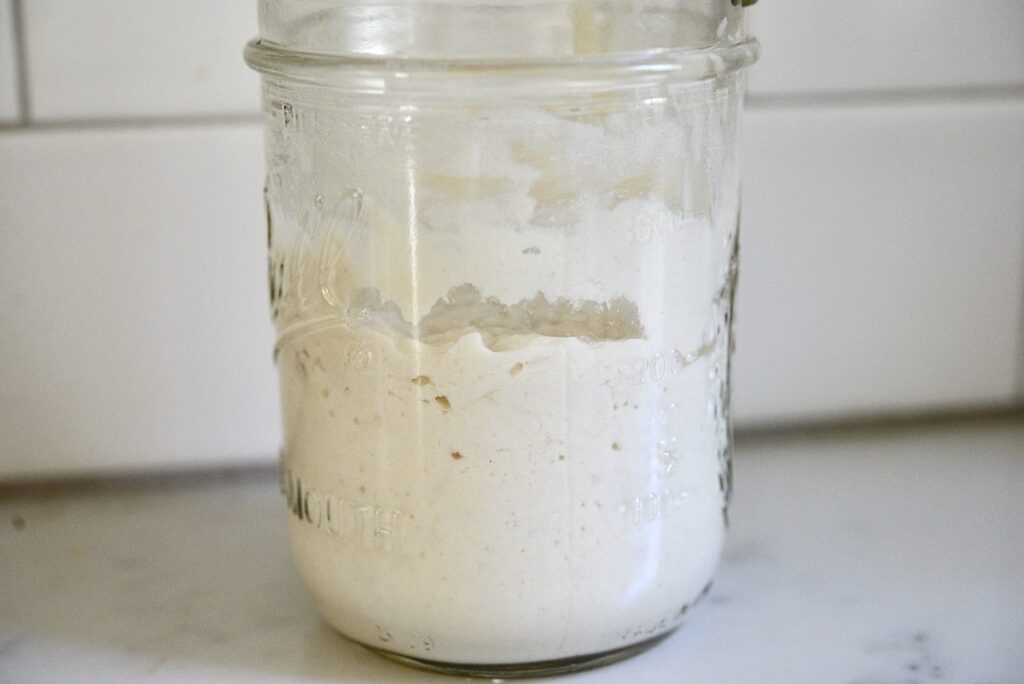gluten free sourdough starter in mason jar
