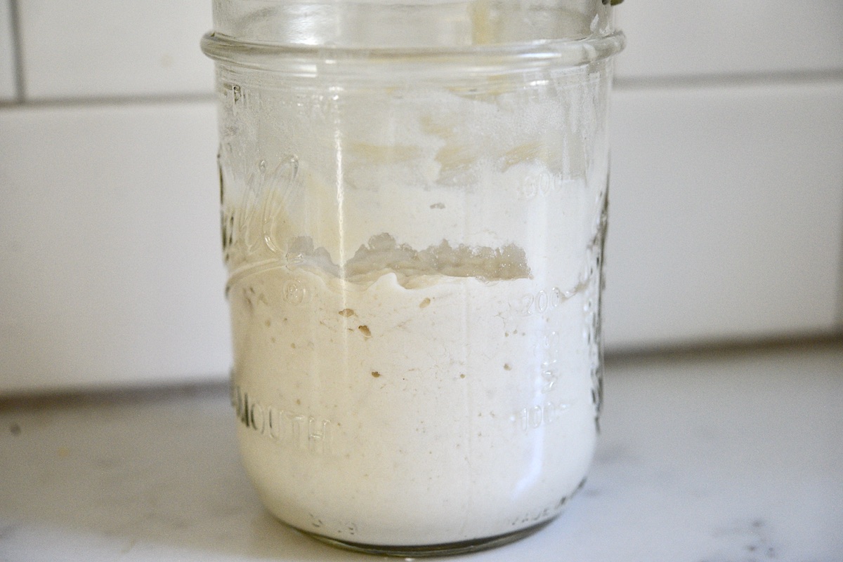 Gluten-Free Sourdough Starter - Step-by-Step Recipe Printable Guide