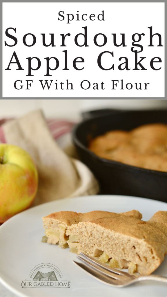 How to Make A Spice Sourdough Apple Oat Cake 