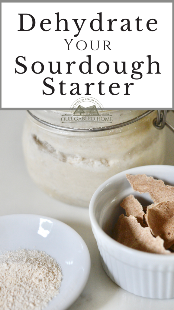 How to Dehydrate Your Sourdough Starter