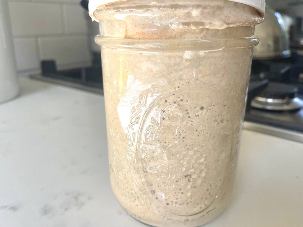 ripe, active sourdough starter in jar