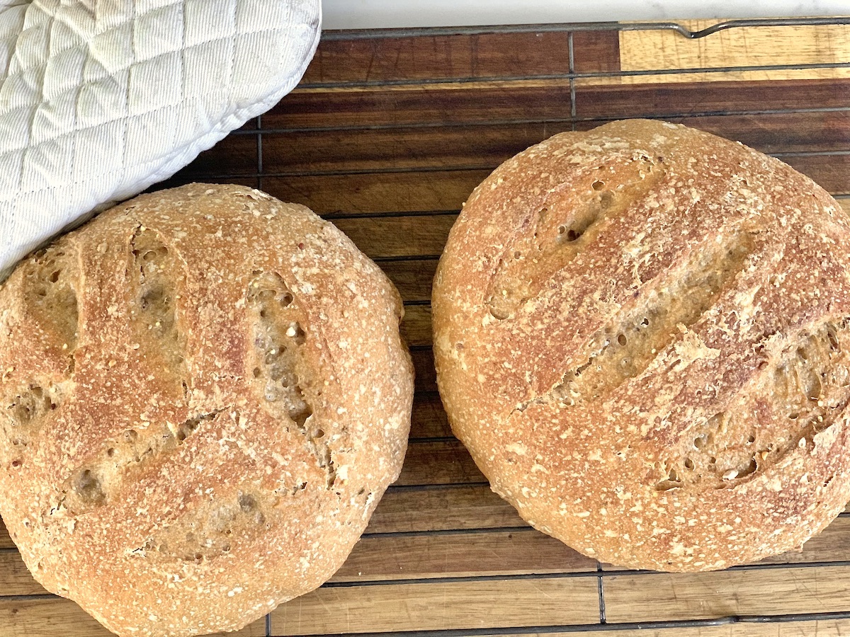 How to Keep Your Sourdough Bread Fresh Our Gabled Home