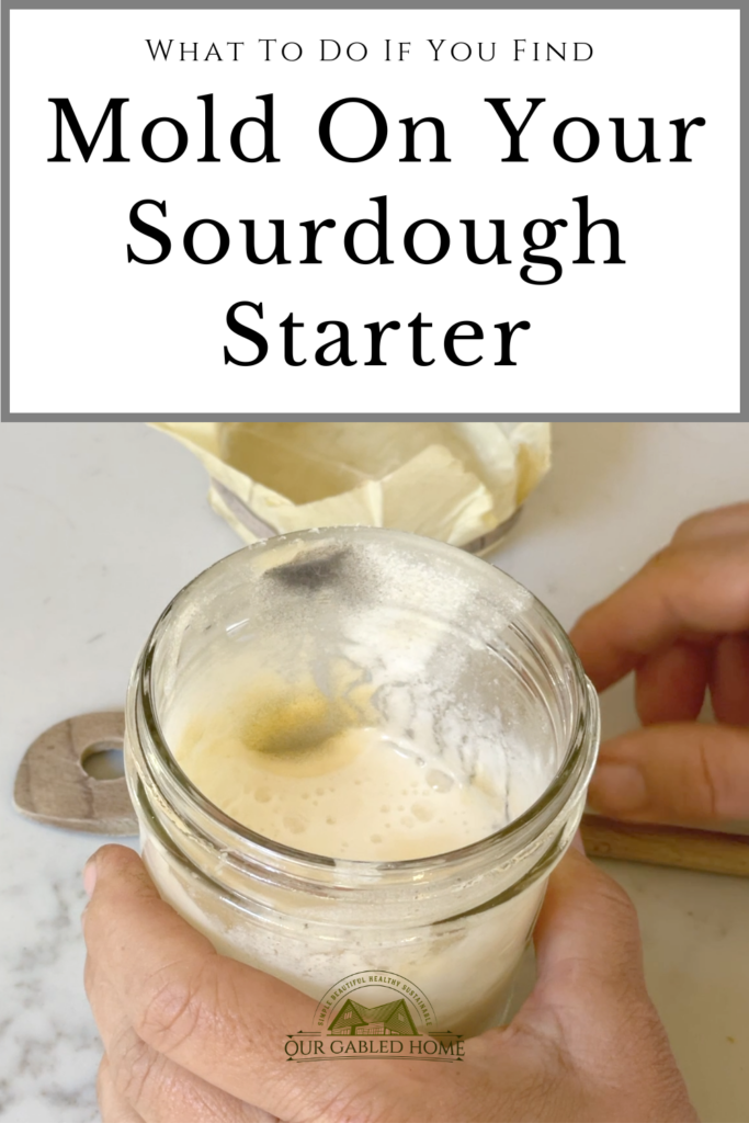 What to Do if Your Find Mold on Your Sourdough Starter