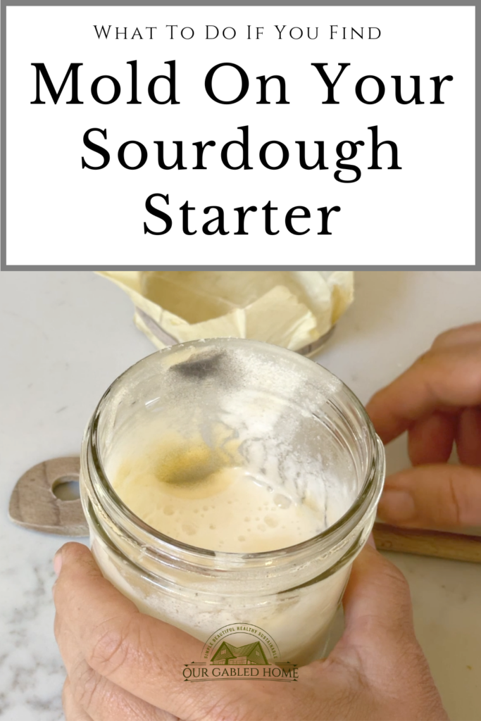 Is my sourdough starter moldy? : r/Sourdough