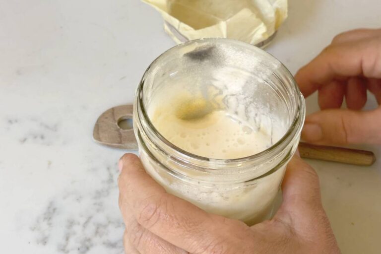 hands holding jar with sourdough and mold on it