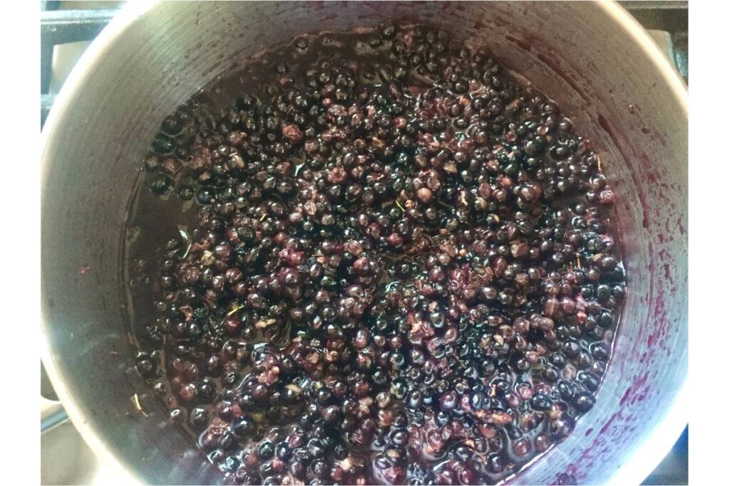 cooking elderberries in pot