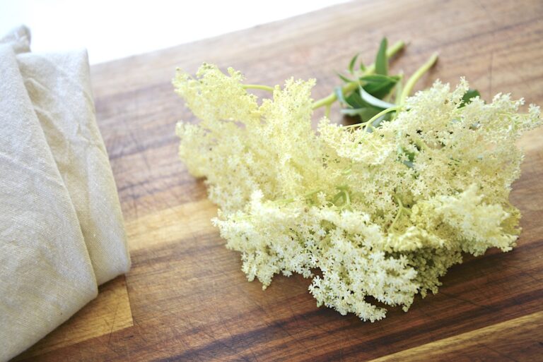 Simple Homemade Elderflower Syrup Recipe Our Gabled Home