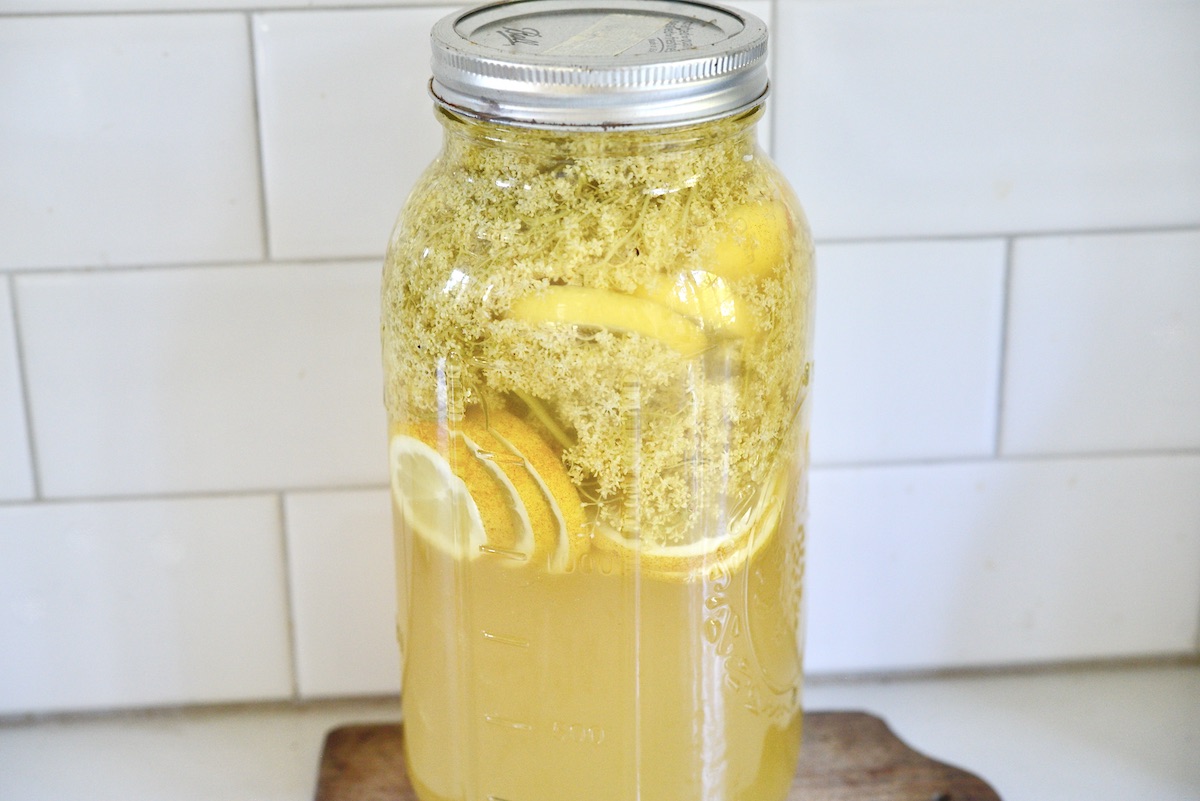 Simple Homemade Elderflower Syrup Recipe
