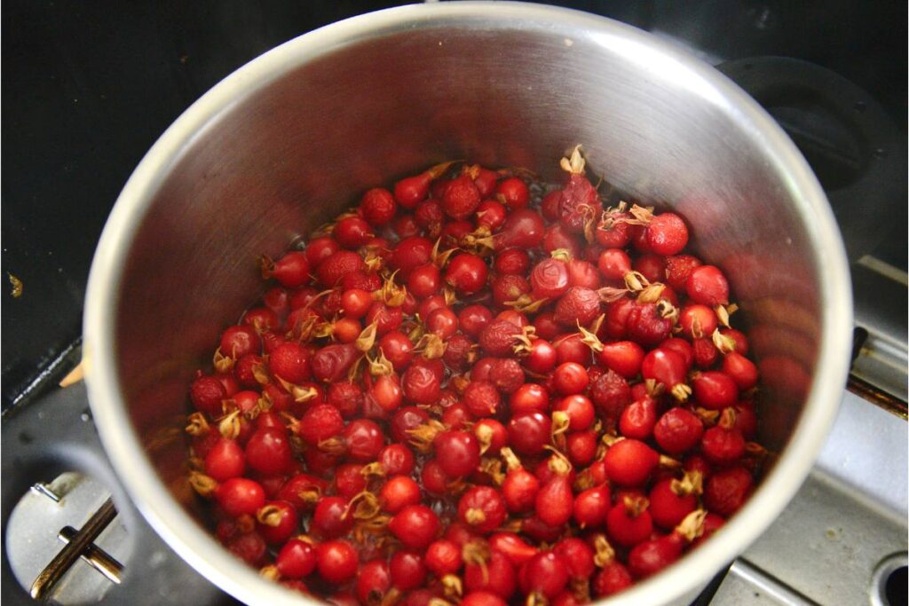 rosehips in a pot with water on the stove