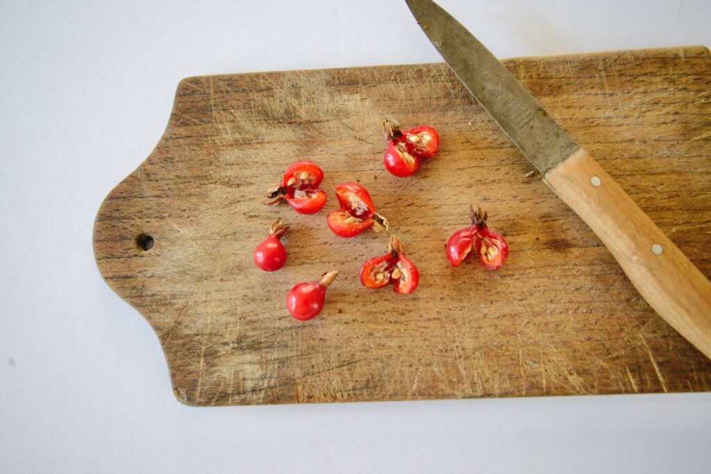 halved rosehips on cutting board with knife