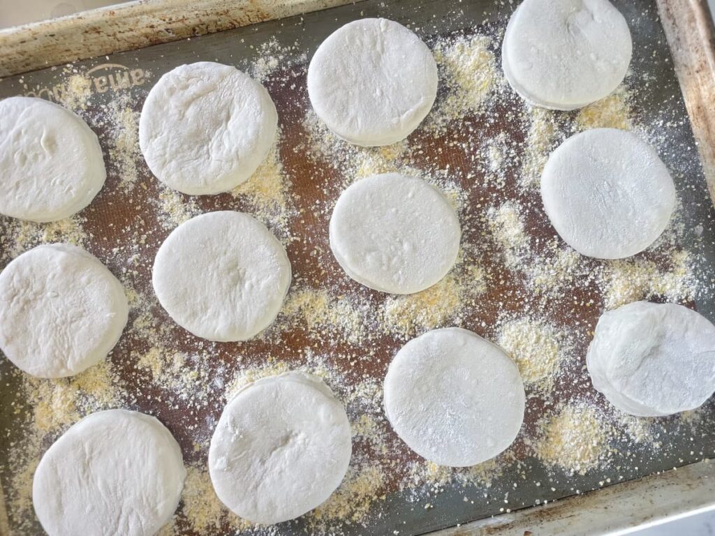 sourdough English muffins rising on baking sheet with cornmeal