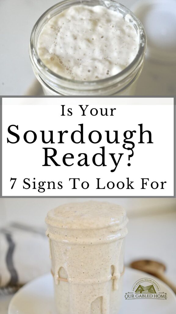 How to Know When Your Sourdough Is Ready