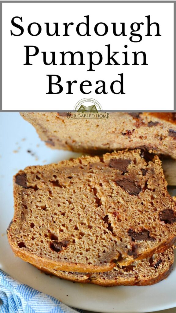 RECIPE  Pumpkin and Chocolate Sourdough Loaf baked in Lodge Cast Iron Loaf  Pan — Artisan Bryan