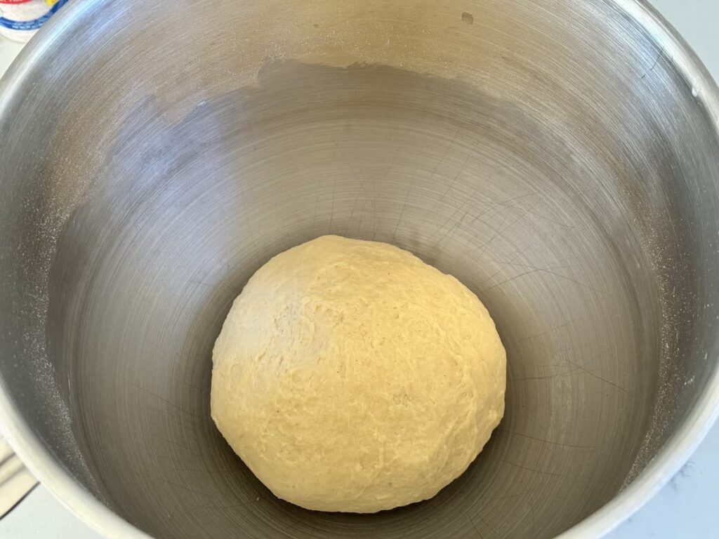 ball of yeast dough in big bowl