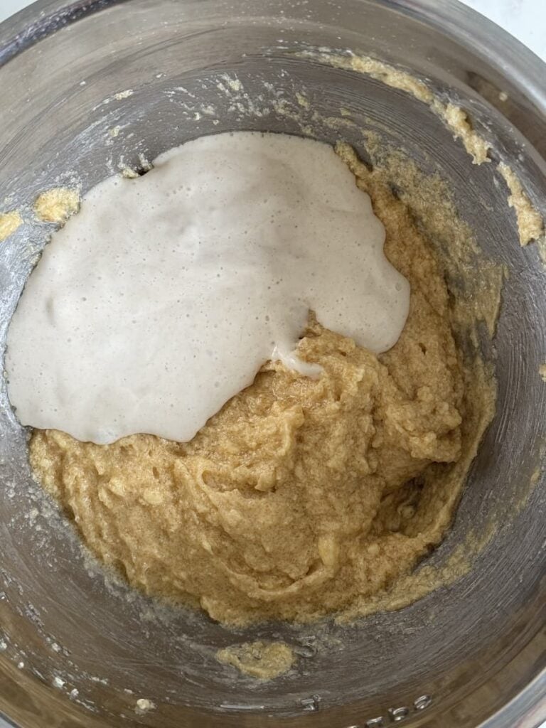 creamed butter and sugar with sourdough starter in bowl
