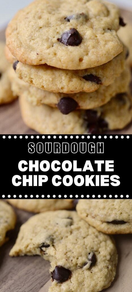How To Make Sourdough Chocolate Chip Cookies