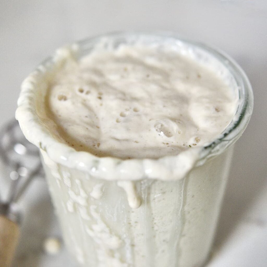 Active bubbling sourdough starter in a glass mason jar.