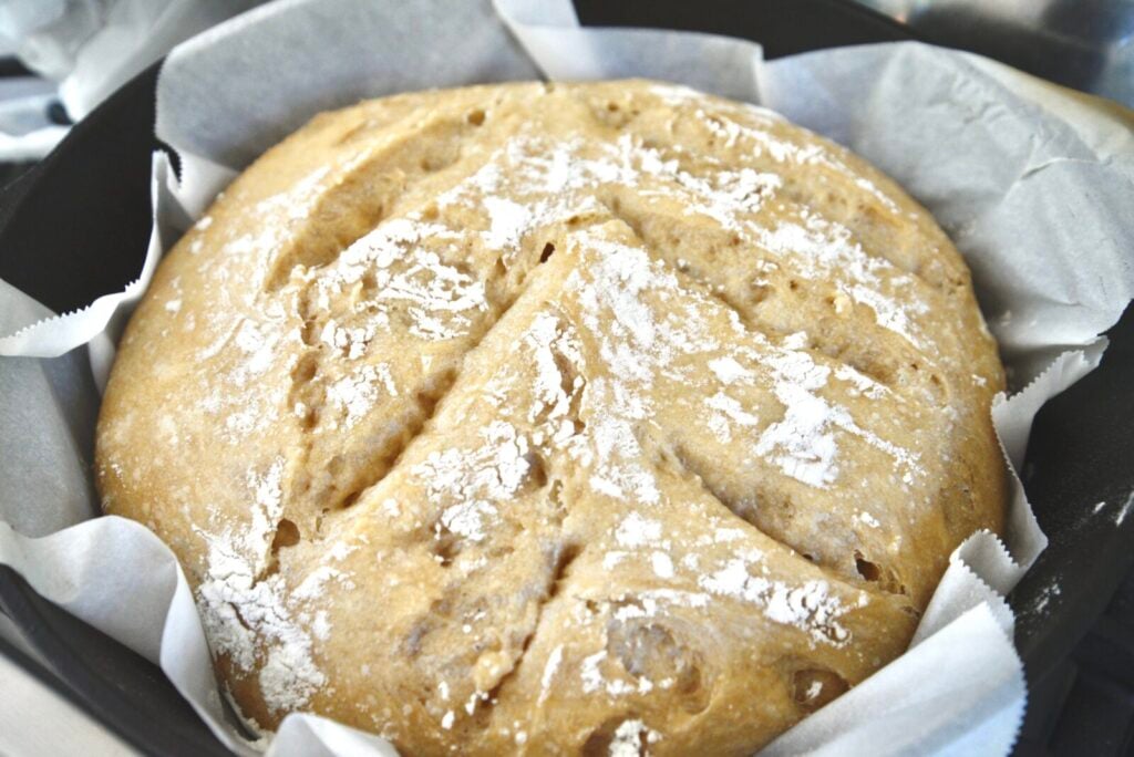Round loaf of artisan bread, after proofing and before baking.