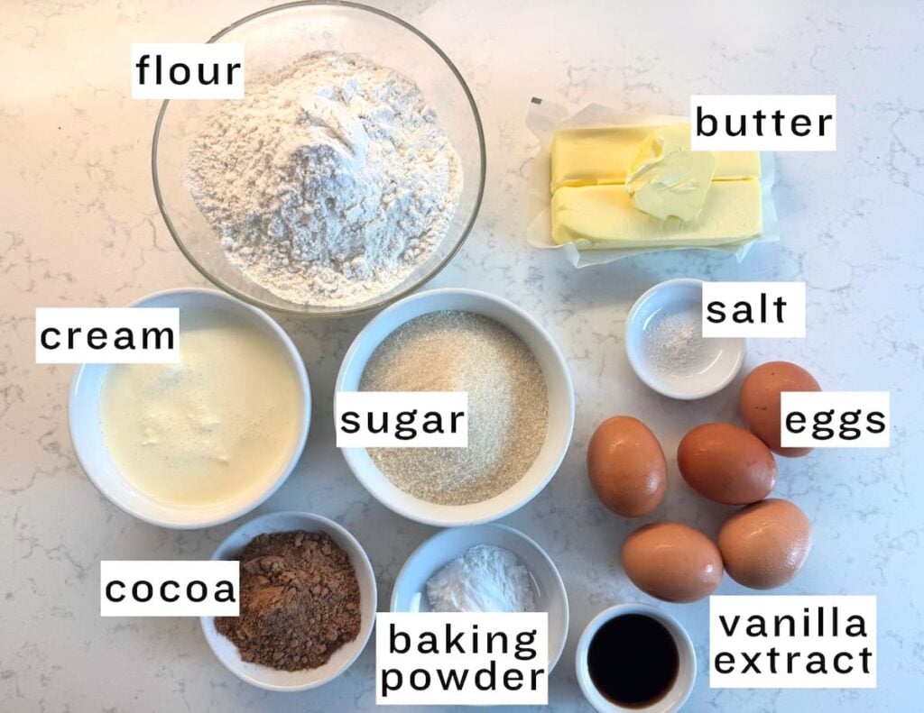 Top-down view of labeled baking ingredients: flour, butter, cream, sugar, eggs, salt, cocoa powder, baking powder, and vanilla extract, each in separate bowls or dishes on a white countertop.