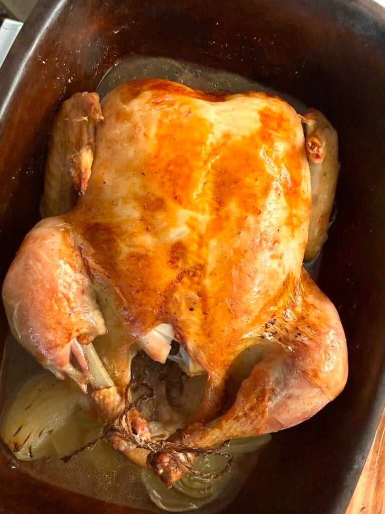 A whole roasted chicken with golden, crispy skin sits in a dark roasting pan, with visible juices and roasted vegetables underneath.